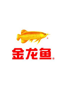 金龍魚